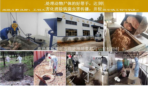 高效生態(tài)農(nóng)業(yè)新助力 高溫腐熟菌與現(xiàn)代化糞污處理技術(shù)解析