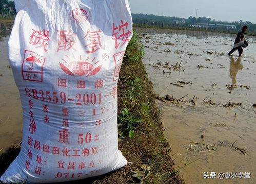 化肥迷局 每噸行變動因與未來走勢分析（2022版