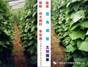 新啟力肥料,產(chǎn)品競(jìng)爭(zhēng)力無(wú)可比擬